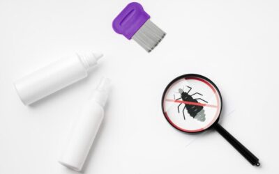 Czy preparat bor pomaga w walce z borreliozą?