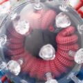 Co wzmacnia system immunologiczny na co dzień?