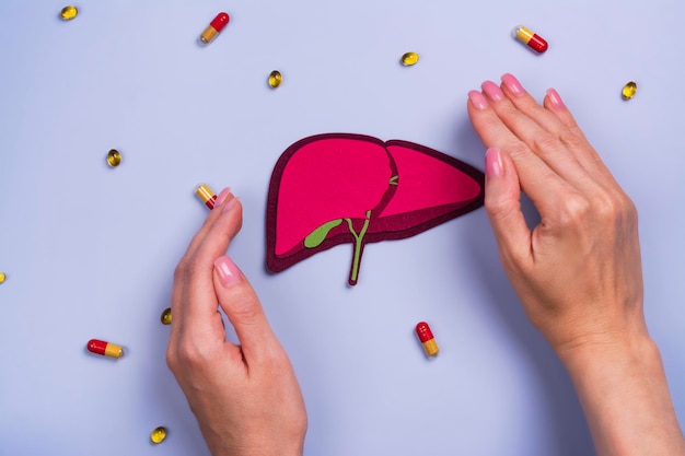 Jak skutecznie zregenerować uszkodzoną wątrobę?