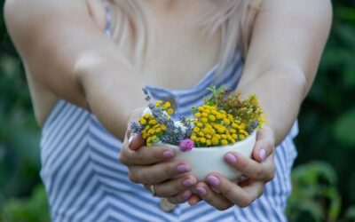 Jakie zioła na wątrobę i trzustkę warto wybrać?