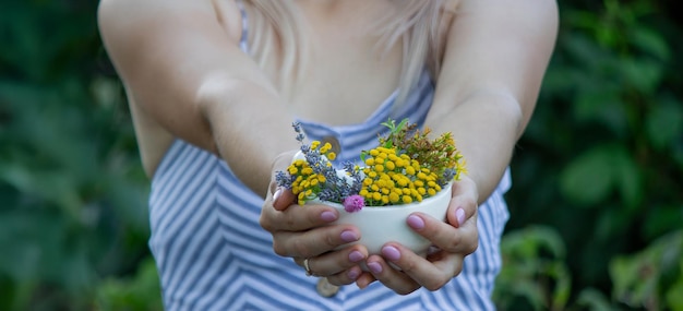 Jakie zioła na wątrobę i trzustkę warto wybrać?