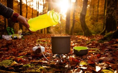 Sok z drzewa jak się nazywa i do czego jest używany?