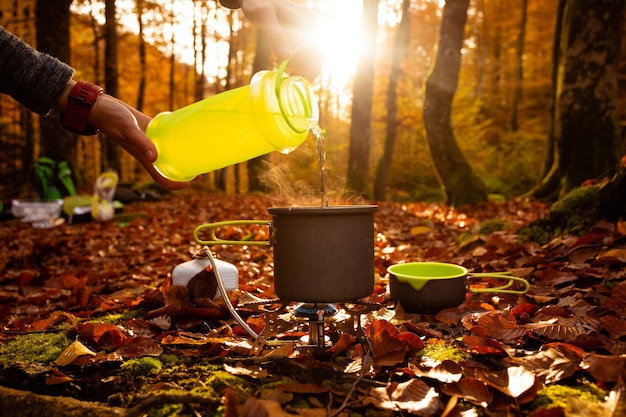 Sok z drzewa jak się nazywa i do czego jest używany?