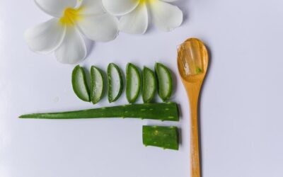 Aloes czy zdrowy wybór dla organizmu?