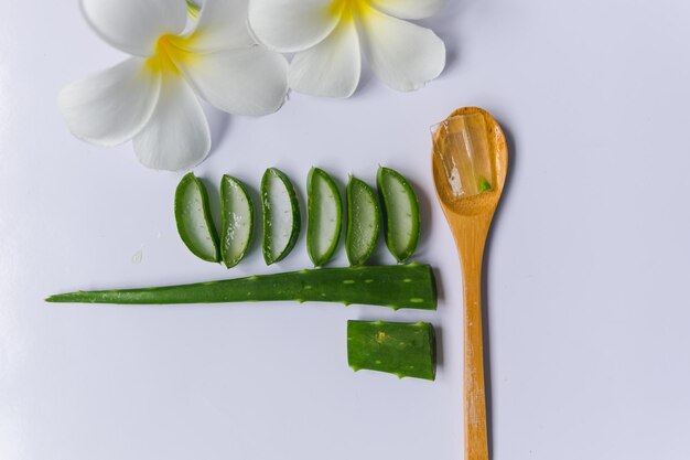 Aloes czy zdrowy wybór dla organizmu?