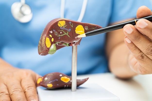 Czy wątroba boli przy ucisku?