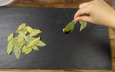 Jak zrobić wywar z liścia laurowego do domowych zastosowań?