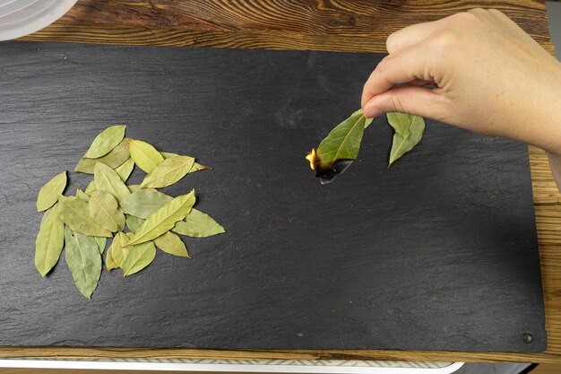 Jak zrobić wywar z liścia laurowego do domowych zastosowań?