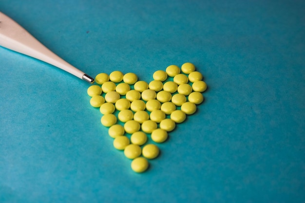 Jakie jest znaczenie chlorofilu dla roślin?