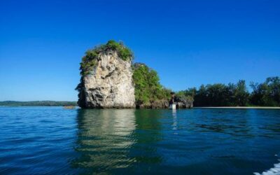 Ile można pić wody z brzozy na co dzień?