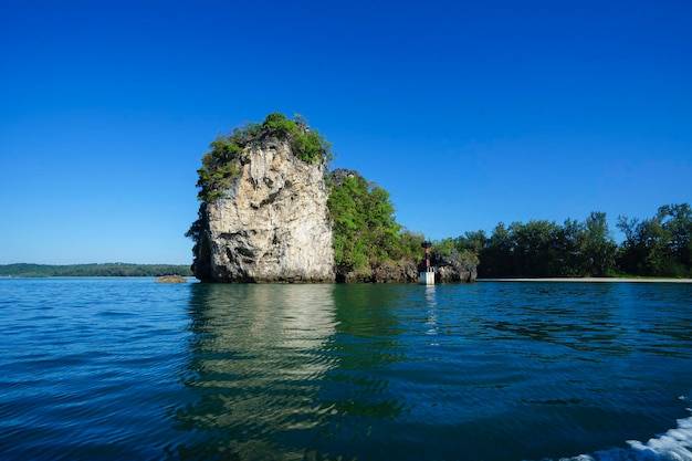 Ile można pić wody z brzozy na co dzień?