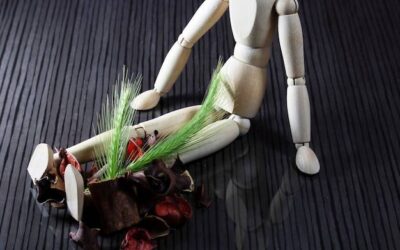 Jak uodpornić organizm na zmieniającą się pogodę?