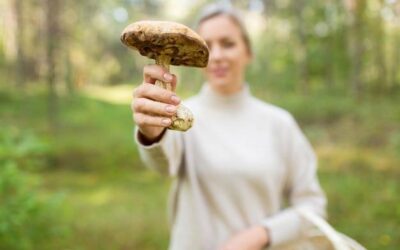 Jak oczyścić jelita z grzybów w domowych warunkach?