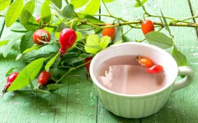 Na co jest herbata czystek i kiedy warto po nią sięgnąć?