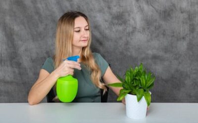 Oregasept jak długo stosować aby zauważyć efekty?