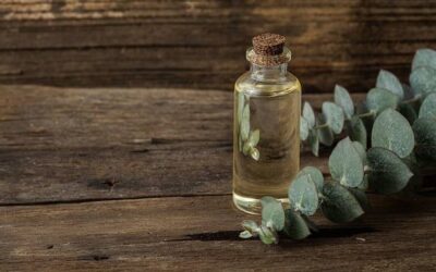 Jak zrobić inhalację z olejkiem eukaliptusowym w domowych warunkach?