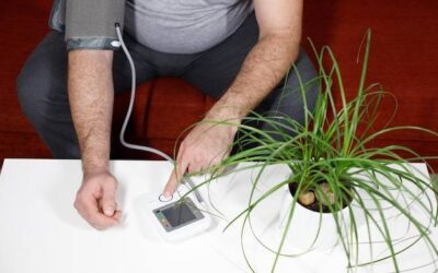 Jakie rośliny obniżają ciśnienie krwi i dlaczego warto je znać