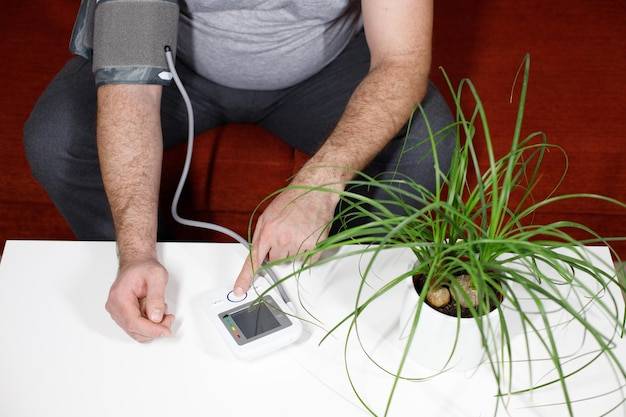 Jakie rośliny obniżają ciśnienie krwi i dlaczego warto je znać