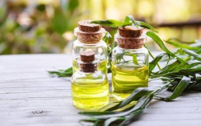 Olejek herbaciany na co stosować w codziennej pielęgnacji?
