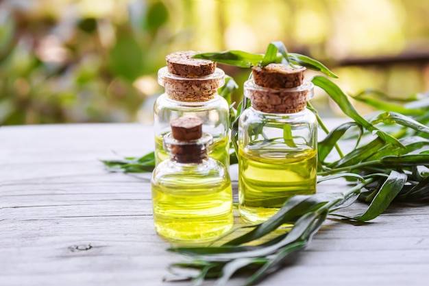 Olejek herbaciany na co stosować w codziennej pielęgnacji?