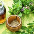 Jak pić olejek oregano aby wspierać odporność?